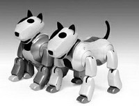 корейский робот-пёс похож на aibo