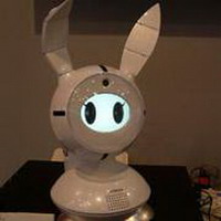 робот-кролик управляет домашней техникой